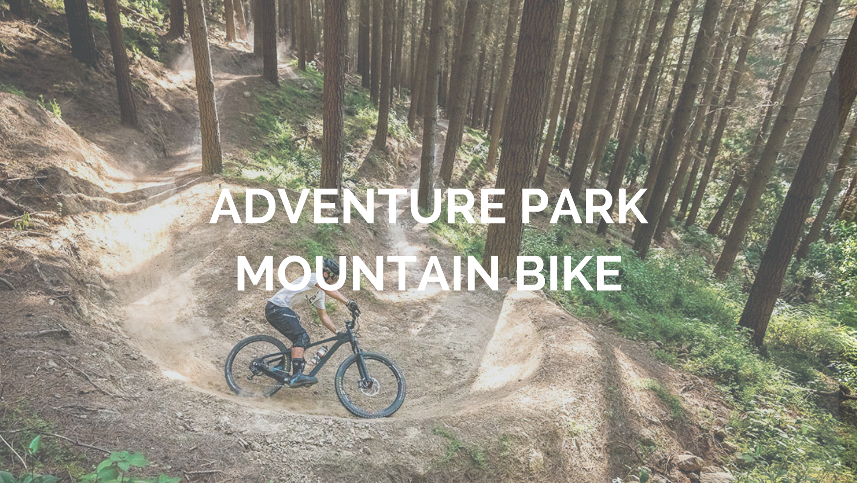 Christchurch 2026 (1)